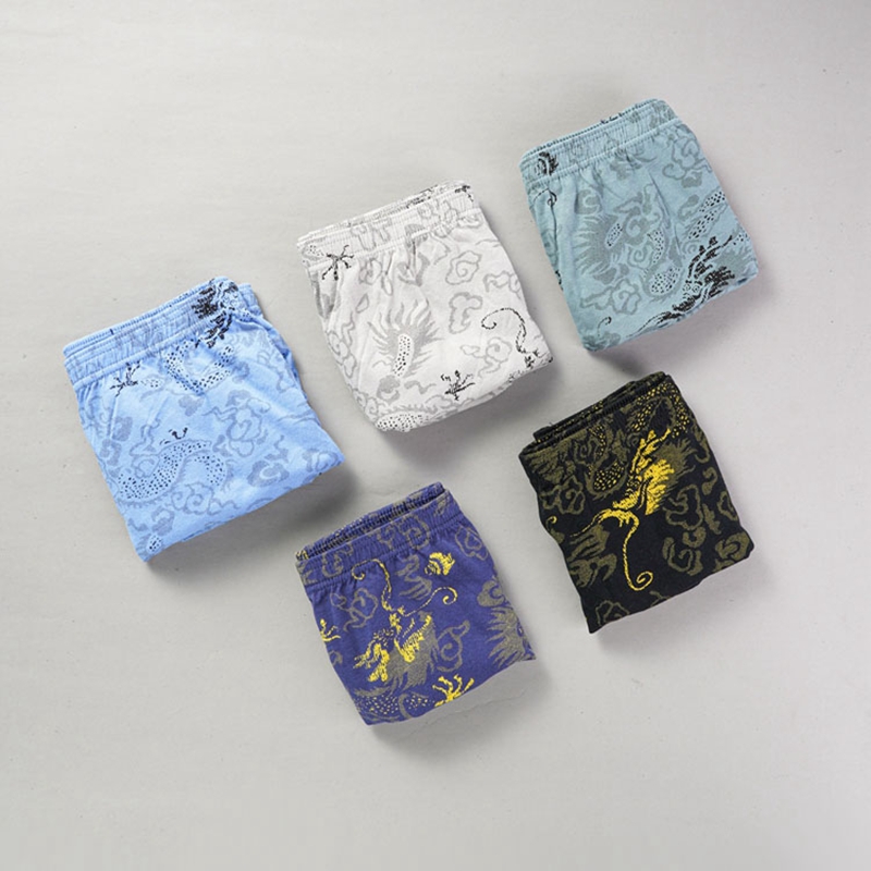 10 unids/lote 100% calzoncillo - Multi Pack Underwear reseña y precio