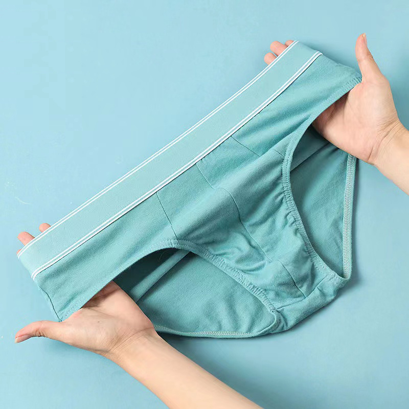 4 unids/lote de calzoncillos p - Multi Pack Underwear reseña y precio